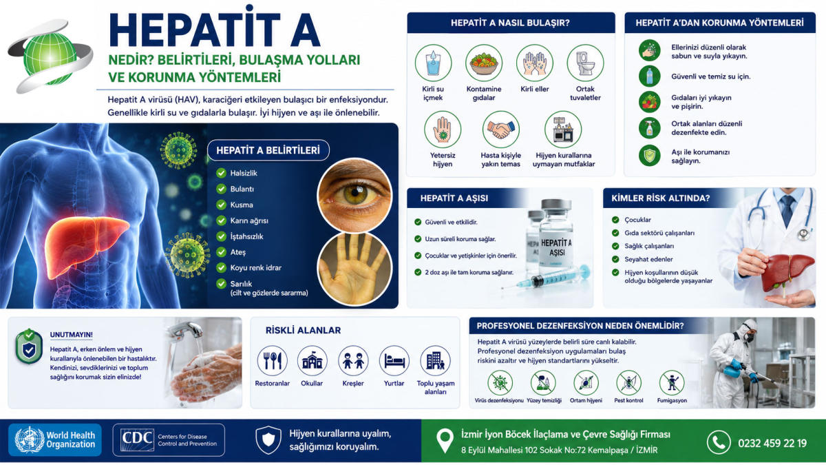 Hepatit A Nedir? Belirtileri, Bulaşma Yolları ve Profesyonel Hijyen Önlemleri