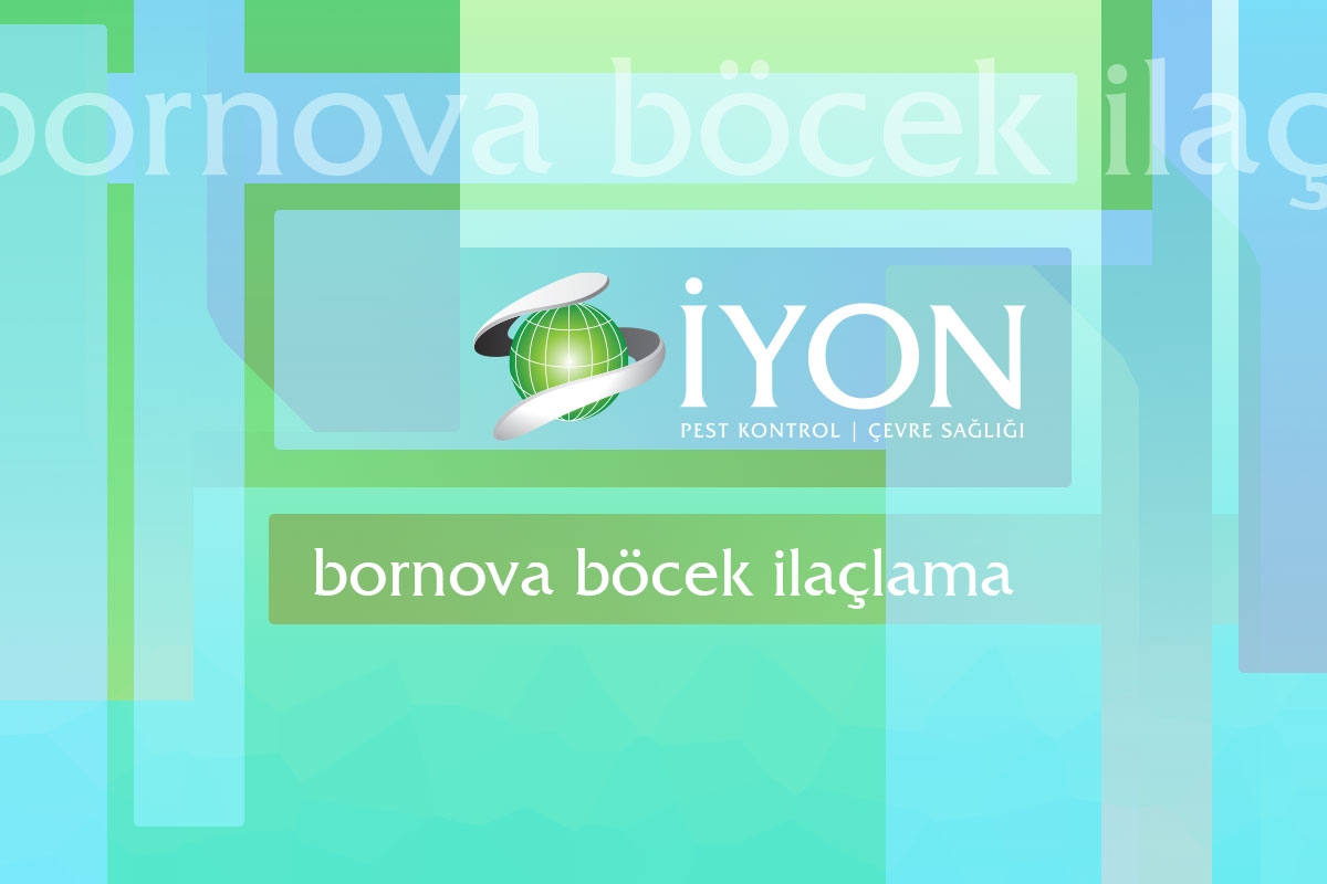 Bornova Böcek İlaçlama
