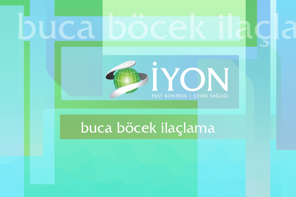 Buca Böcek İlaçlama