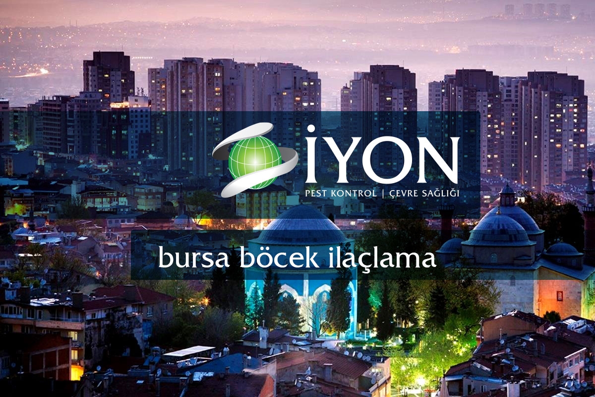 Bursa Böcek İlaçlama Firmaları