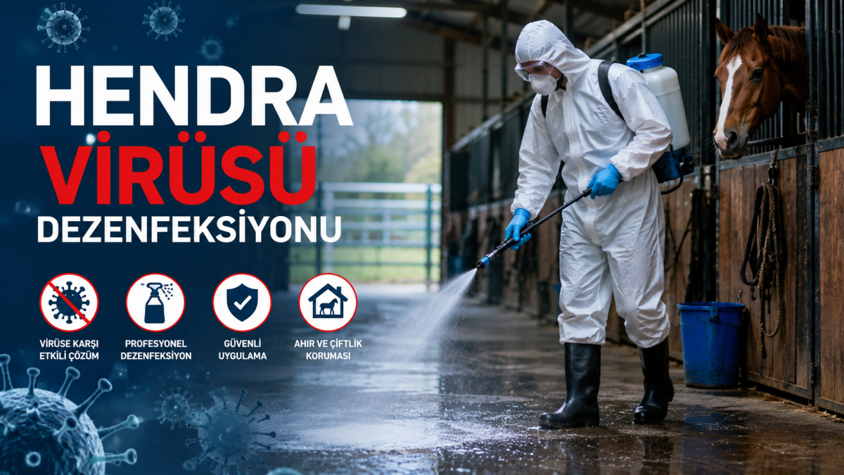 Hendra Virüsü Dezenfeksiyonu