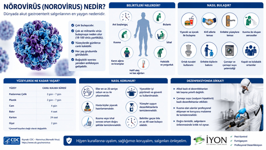 Nörovirüs Nedir? Belirtileri, Bulaşma Yolları ve Profesyonel Dezenfeksiyon Yöntemleri