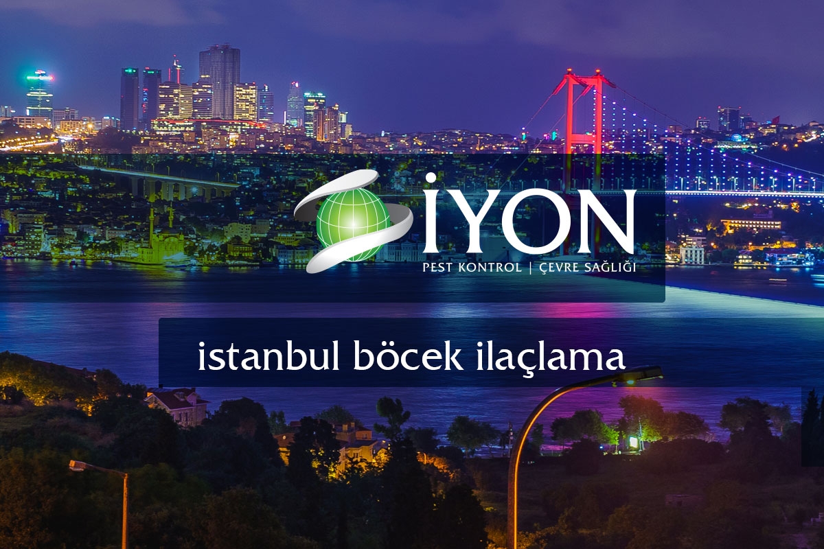 İstanbul Böcek İlaçlama