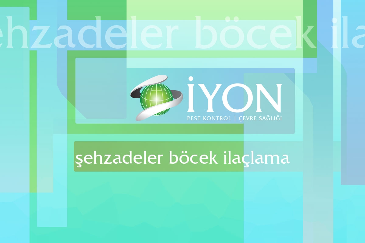 Şehzadeler Böcek İlaçlama