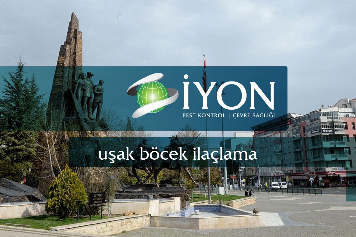 Uşak Böcek İlaçlama Firmaları